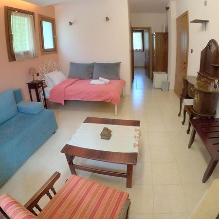 Rastoni Pelion Hotel Vizítsa Ngoại thất bức ảnh