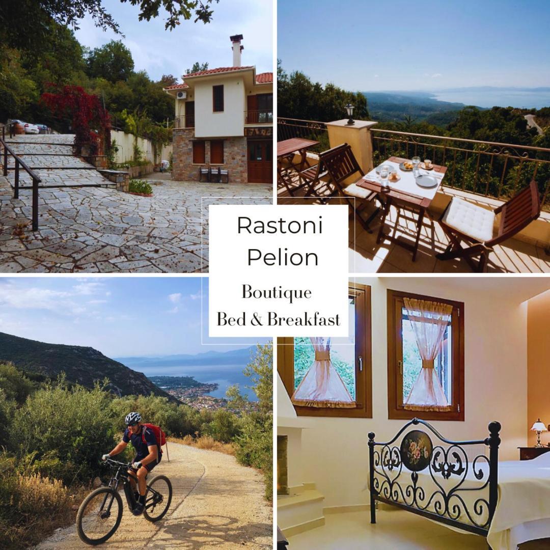 Rastoni Pelion Hotel Vizítsa Ngoại thất bức ảnh